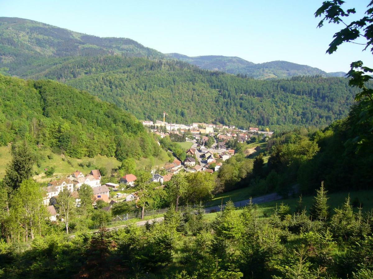 Le Tricotin Gite 2-4 Personnes Sainte-Marie-aux-Mines Exterior photo